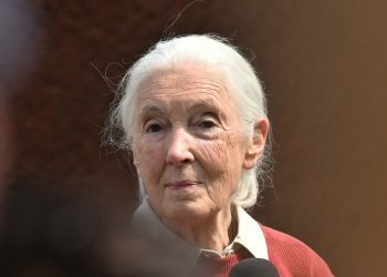 Bioložka a ochránkyně přírody Jane Goodallová na slavnostním křtu mláděte gorily nížinné, které se narodilo 12. dubna 2024 v pražské zoo, 11. května 2024, Praha.,Image: 871950151, License: Rights-managed, Restrictions: , Model Release: no, Credit line: ČTK / Říhová Michaela