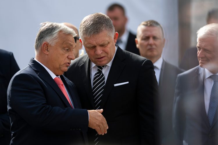 Zdroj: SITA/AP Photo/Denes Erdos