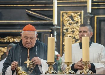 Zdroj: PETR TOPIČ / MAFRA / Profimedia