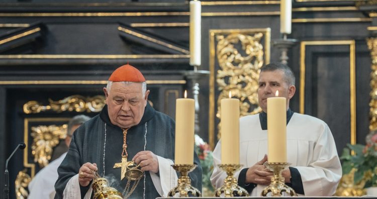 Zdroj: PETR TOPIČ / MAFRA / Profimedia