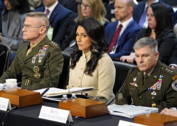 Ředitelka amerických tajných služeb Tulsi Gabbardová. Foto: ČTK / imago stock&people / Andrew Thomas / CNP /MediaPunch